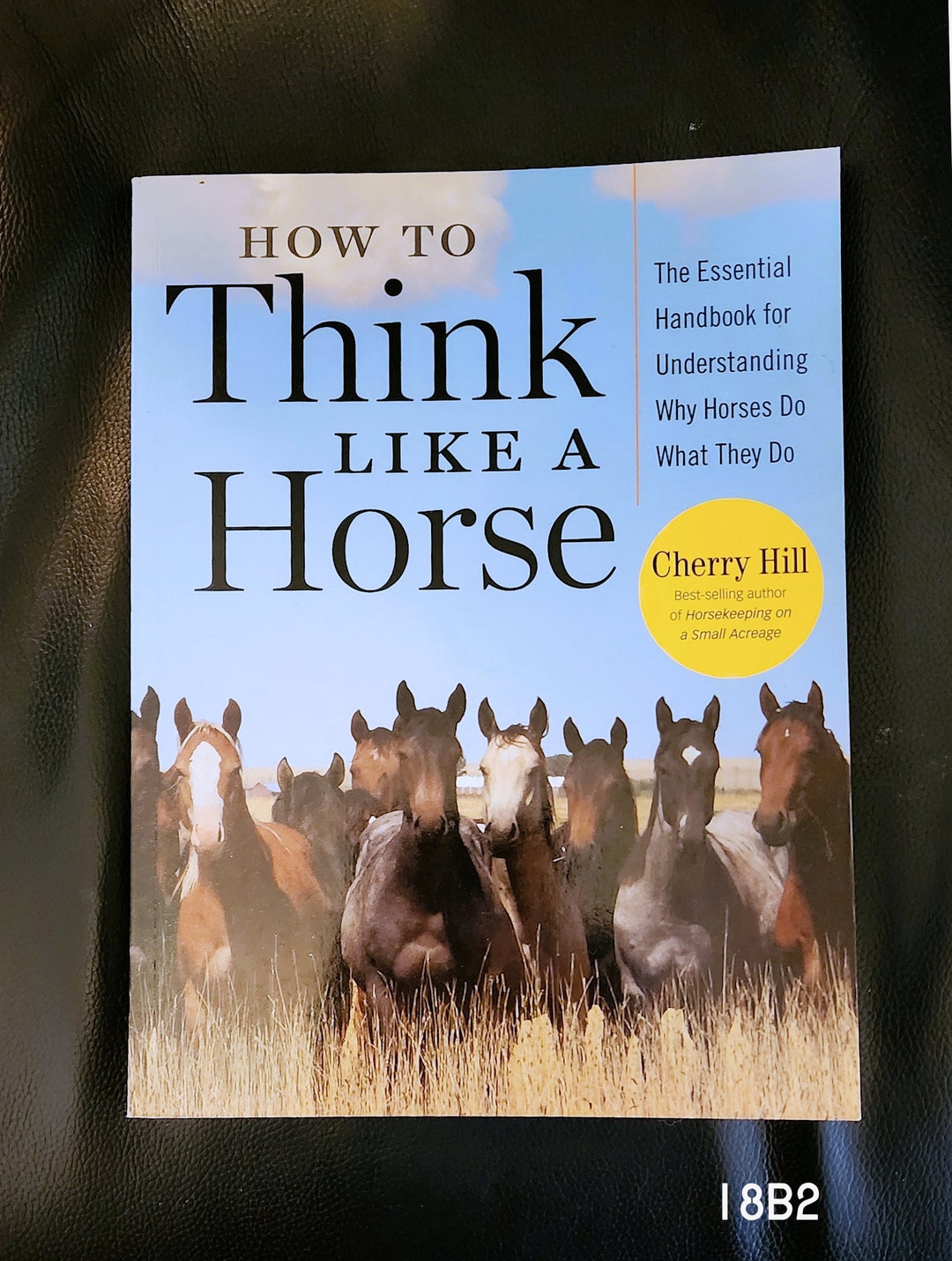 How to Think Like A Horse, Cherry Hill. Paperback, 2006