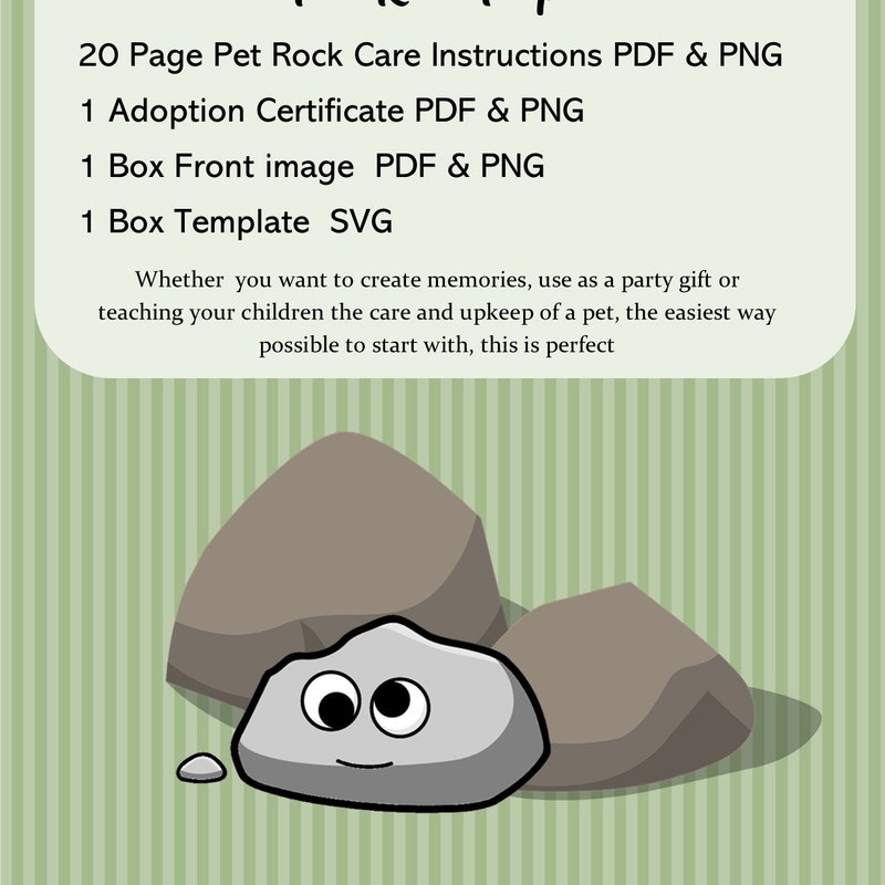 Pet Rock Etsy Pet Rock Etsy
