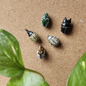 set of 5 beetle pushpins (family one)