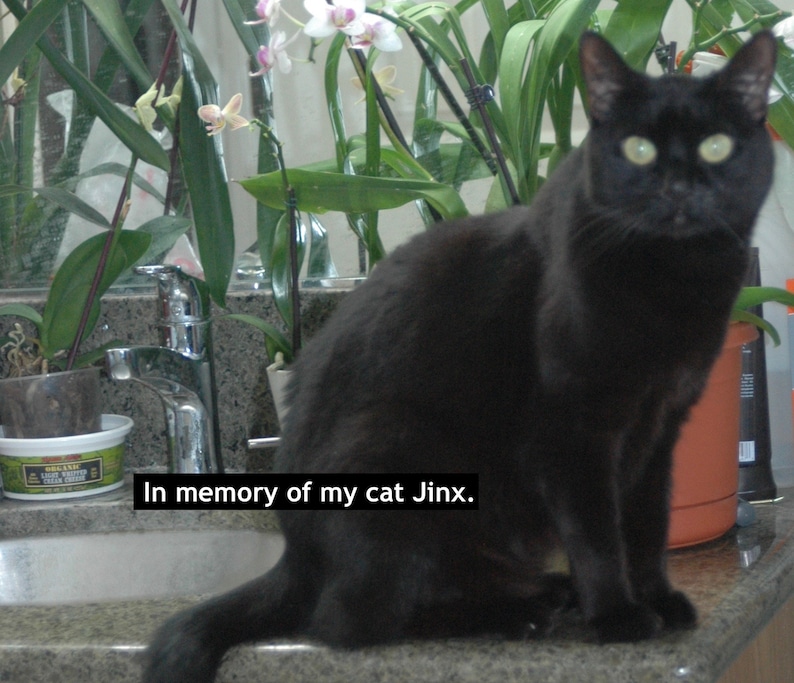 Peut inclure: Un chat noir aux yeux verts est assis sur un comptoir devant un lavabo de salle de bain. Le chat regarde la cam&eacute;ra. Le texte "En m&eacute;moire de mon chat Jinx." est &eacute;crit sous le chat.