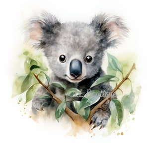 4 Watercolor Woodland Forest Koala Bear Images, .PNG file, Baby Room Art, Nursery Art, Woodland Forest Baby Animal image, Nursery Decor 画像 3