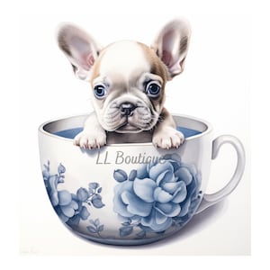 Niedliche Aquarell Französische Bulldogge Junge Welpe in Teetasse, .PNG Dateien, Frenchie Kunst, rosa Kinderzimmer Kunst, Wand-Dekor, Frenchie Welpe, niedlicher Hund