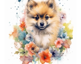 4 Watercolor Pomeranian Puppy Images, .PNG file, Dog Art,  Nursery Art, Wall Decor, Pomeranian image, Pomeranian Portrait