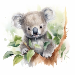 4 Watercolor Woodland Forest Koala Bear Images, .PNG file, Baby Room Art, Nursery Art, Woodland Forest Baby Animal image, Nursery Decor 画像 2