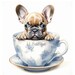 Cute Watercolor French Bulldog Boy Puppy in Tea Cup, .PNG Files ...