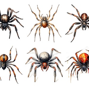 Spider Clipart Spiders PNG Halloween Spider Clipart Spooky - Etsy