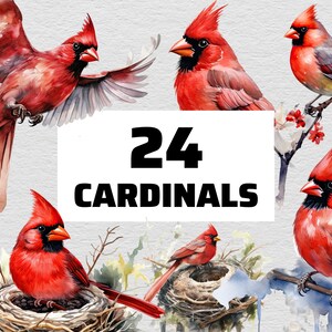 6+ Red Bird Gifts
