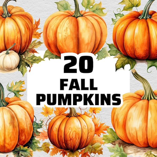 Pumpkin Bundle PNG, Fall Pumpkin Clipart, Pumpkin PNG, Pumpkin Clipart, Cute Pumpkin Clipart, Autumn Pumpkin Clipart, Fall Pumpkin PNG