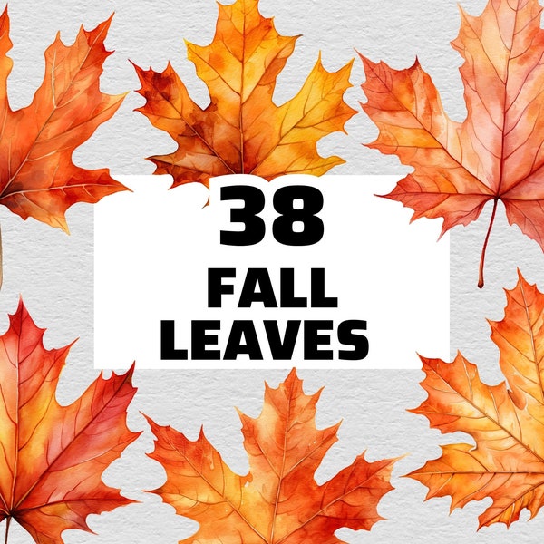 Fall Leaves Clipart, Leaves PNG, Leave Clipart, Leaves Clipart Png, Fall Leaves PNG, Watercolor Leaves Png, Clipart Leaves, Leaves Bundle