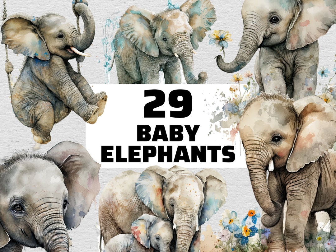 Baby Elephant PNG Baby Elephant Clipart Elephant Baby Cute Elephant PNG ...