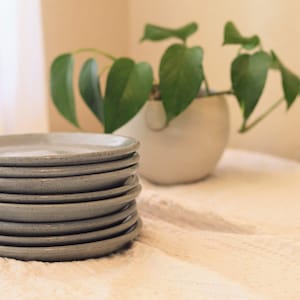 Dessert/salad plate