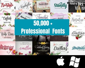 50.000 Mega Font Bundle für Canva, Cricut, Silhouette, handgeschriebene Schriften, Serifenschrift, Hochzeitsschriften-Set, Procreate-Schrift, kommerzielle Nutzung