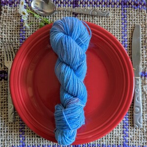 Blueberry Smoothie - Hand Dyed Merino Wool/Angora Yarn - Blue Variegated Tonal