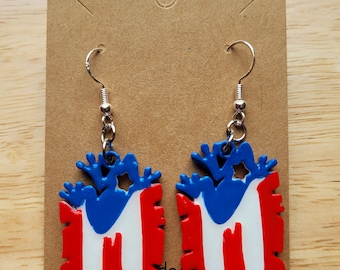 Puerto Rico flag with taino coqui earrings