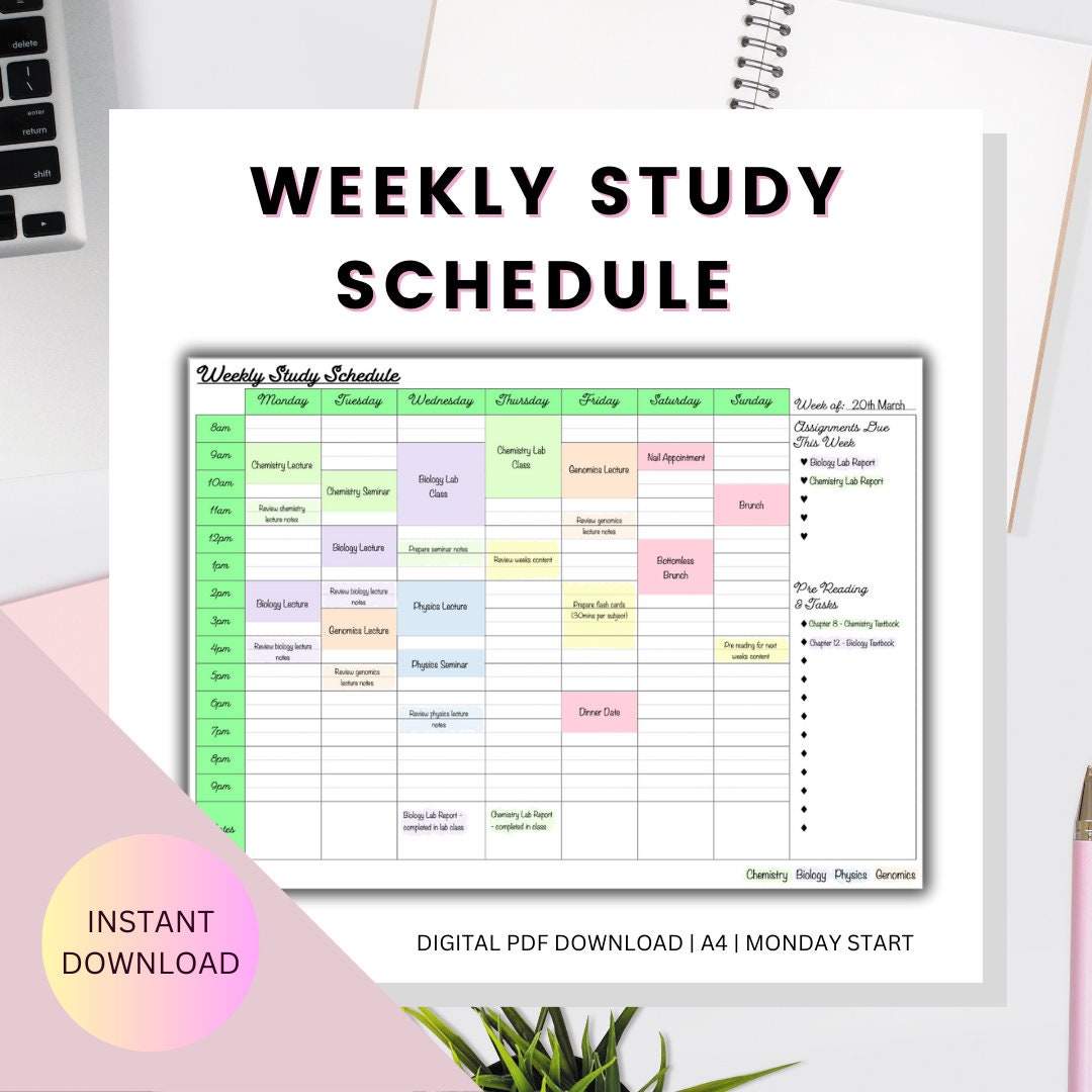 Weekly Half Hourly Study Schedules | Instant Digital A4 Download ...