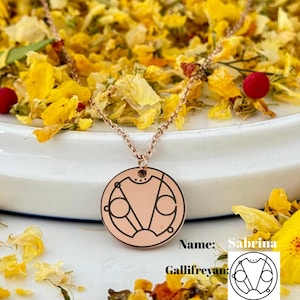 May include: A rose gold necklace with a circular pendant featuring a black and white design. The pendant is a symbol from the Doctor Who television series. The text "Name: Sabrina Gallifreyan" is visible below the pendant.