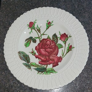Royal Cauldon decorative roses plate