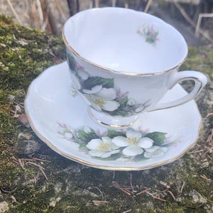 Vintage Royal Vale Bone China Teacup & Saucer