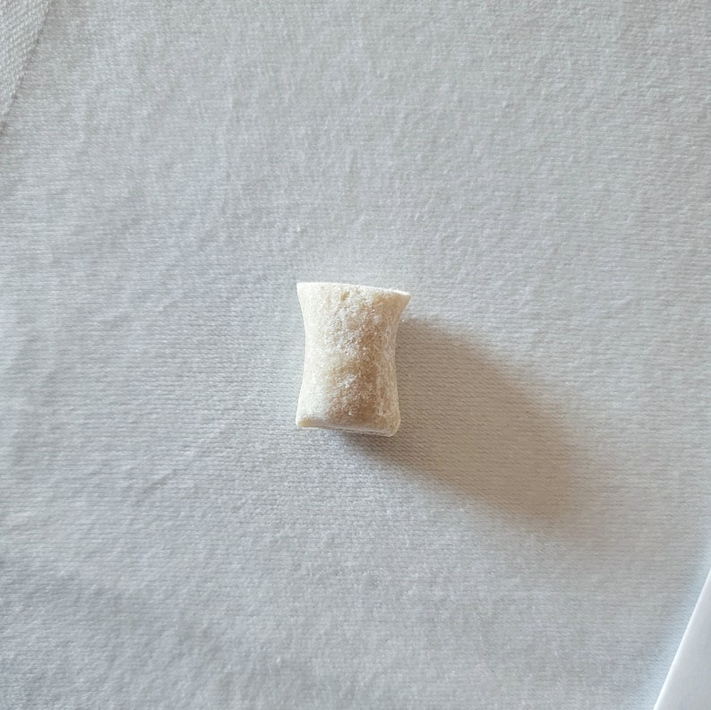 Organic MASTIC MINT Miracle Remineralizing Chewing Gum With Etsy