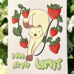 At My Limit Cat Print | 5x6.5 inch Print || Cute funny art print, decor, illustration