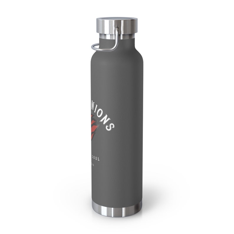 Copper Vacuum Insulated Bottle, 22oz For Kim