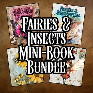 Fee und Insekt Mini-Bücher-Bundle 4 Komplette Mini-Bücher Feen Schmetterlinge Bienen Collage Magisch Fantasy Scrapbooking Kunst Sofort download