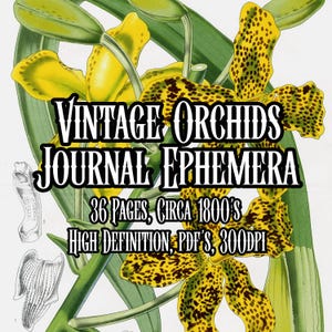 Vintage Orchid Botanical Print Bundle Circa 1800s Authentic Orchid Historical Illustrations Scrapbook Art Collage Decoupage Instant download