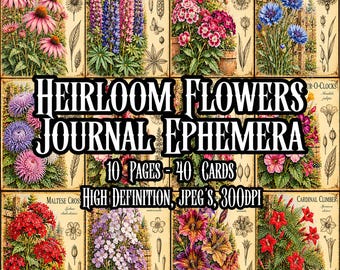 May include: A collection of botanical illustrations featuring various flowers like coneflowers, lupines, and cornflowers. The text reads HEIRLOOM FLOWERS JOURNAL EPHEMERA, 10 PAGES - 40 CARDS, and HIGH DEFINITION, JPEG'S, 300DPI.