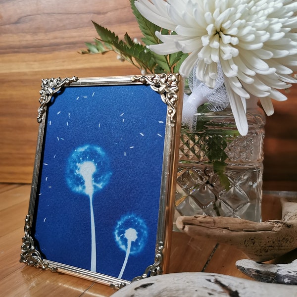 Dandelion - Cyanotype in its vintage frame