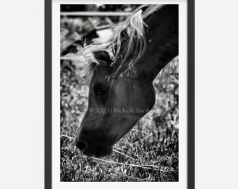 Sunshine Mane-Shake | black & white photography | giclèe fine art print | sizes 8"x10"–16"x20" | with archival mat or print-only| ships free