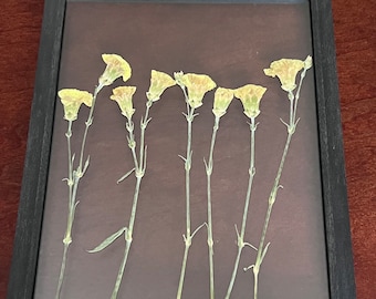 Elegant 11x14 Pressed flower frame | Large | Preserved yellow carnations | Home Decor | Wall Frame | Dried flowers | tall small carnations