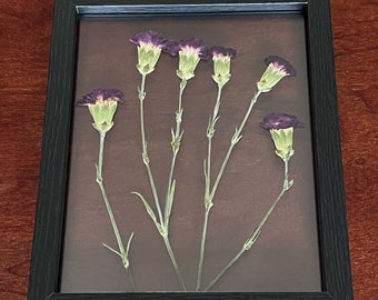 Elegant 8x10 Pressed flower frame | Preserved carnations | Flower art | Home Decor | Wall Frame | Dried flowers | dark purple carnations