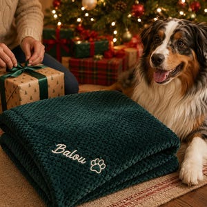 Custom Embroidered Pet Blanket, Personalized Dog Cat Fleece Throw with Name, Custom Paw Name Blanket, Dog Birthday Gift, Crate Mat Blanket