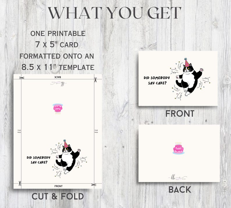 Funny Cat Birthday Card | Tuxedo Cat Greeting | Funny Kitty Humor ...