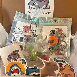 Puede incluir: Una colección de pegatinas y llaveros variados con animales de dibujos animados, incluyendo una orca, un tiburón, un gato y un oso. Los artículos están empaquetados en bolsas de plástico holográficas y una caja transparente con una nota.