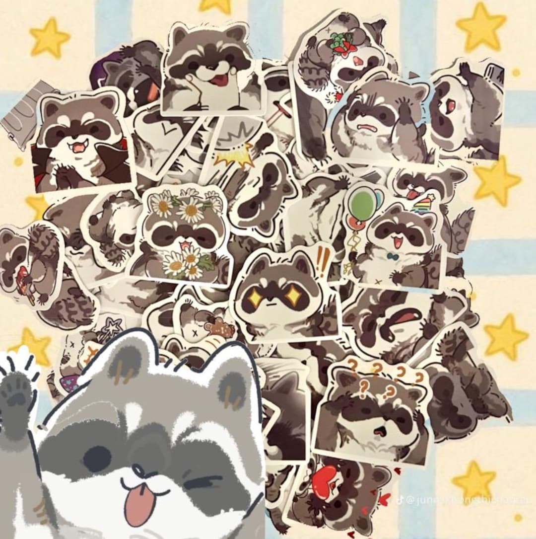 Rascal Raccoon Sticker Clearance Mini Raccoon Stickers Mystery Pack - Etsy