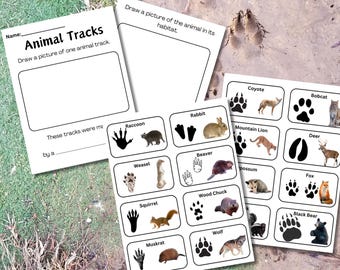 Animal Tracks Guide and Worksheet for a fun hiking activity