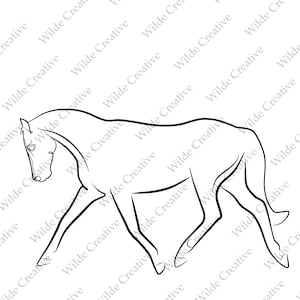 Dessin au trait fin cheval de dressage - fichiers numériques PNG, JPG, SVG, art mural, clipart, sticker, autocollant, panneau, silhouette noire, coloriage