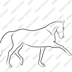 Dessin au trait fin cheval de dressage - fichiers numériques PNG, JPG, SVG, art mural, clipart, sticker, autocollant, panneau, silhouette noire, coloriage
