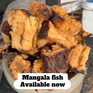 Boneless dry mangala fish pieces. Half pounds for 22dollars. Well dry and tasty