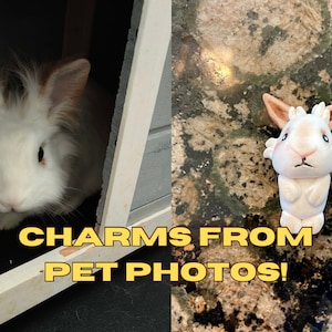Pet Charms from Photos, Handmade Polymer Clay Keychains