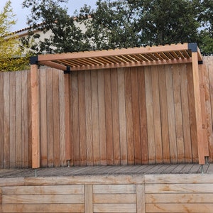 Exotic pergola