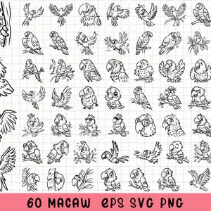 Ara Clipart Bundle, Papagei SVG, Tropische Vogel Grafiken, Wildtier Doodles, handgezeichneter Ara, Exotische Vogel Grafiken, Dschungel Tier Art