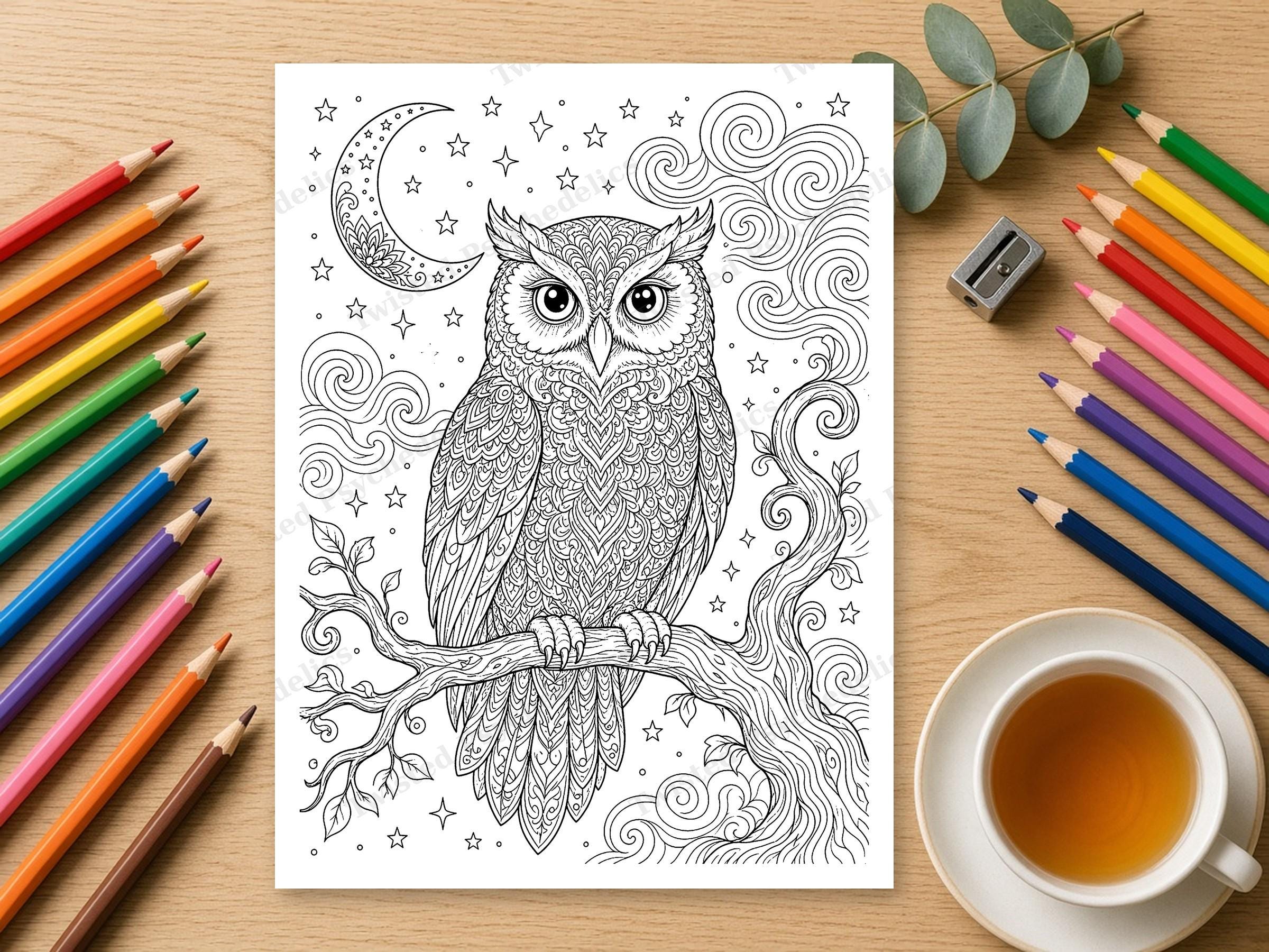 Starry Night Owl Coloring Page, Printable Adult Colouring Sheet, Whimsical Celestial Sky Art, Instan