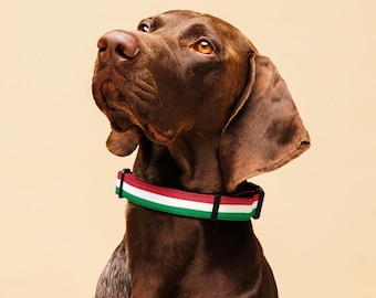 Italian Flag Dog Collar – Adjustable Pet Collar, Durable Padded Polyester, Tricolore Design for Dogs