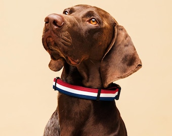 French Flag Dog Collar – Adjustable Pet Collar, Durable Padded Polyester, Tricolore Design for Dogs