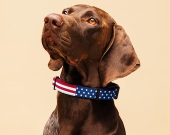 Stars and Stripes Dog Collar – Padded Polyester, American Flag