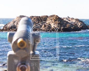 Fine Art Print "Bird Rock", Photography Print
