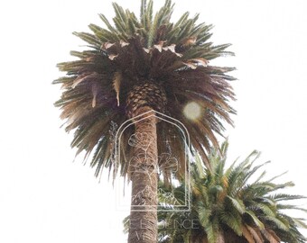 Fine Art Print "Summer State of Mind", Photography Print