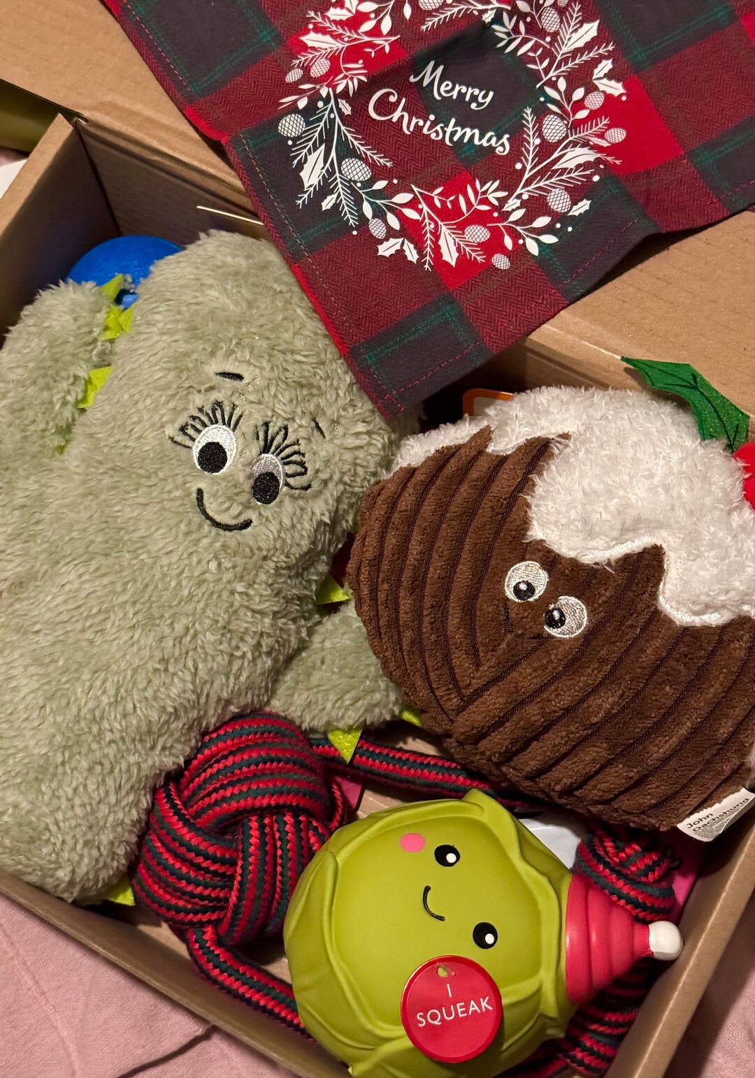 Dog Gift Box, Surprise Box, Birthday Dog, Puppy Box, Toys and Snacks